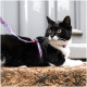 Schwarz-weiße Tuxedo-Katze trägt ein rosa Blumen-Geschirr und -Leine, liegt auf einer Steinstufe und schaut nach rechts.