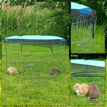 Outdoor-Metall-Tierauslauf mit blauem Bezug, in dem zwei Kaninchen auf grünem Gras sind, gezeigt mit Nahaufnahmedetails.