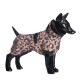 Ein schwarzer Schaufensterhund trägt einen stilvollen Regenmantel mit Leopardenmuster, mit Kragen und Schnalle, der ein trendiges Haustierbekleidungsdesign zeigt.