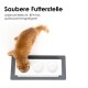 Eine flauschige orangefarbene Katze frisst aus einer weißen Futterstation mit drei Schalen, die mit "Saubere Futterstelle" beschriftet sind, lebensmittelecht und spülmaschinenfest.