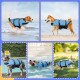 Collage von Hunden in blauen Schwimmwesten: ein Beagle im Wasser, Shiba Inu am Strand, Australian Shepherd am Pool und Corgi auf dem Gras.