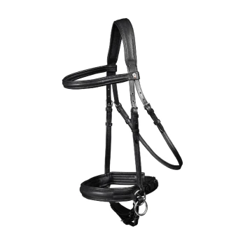 Schwarzes Leder-Hundegeschirr mit verstellbaren Riemen und einem Metallring zur Leinenbefestigung, vor einem weißen Hintergrund präsentiert.