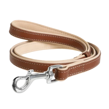 Brown and tan leather dog leash with silver bolt snap, stitched edges, coiled on white background.