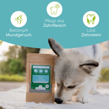 Ein Hund schnüffelt an einem Paket mit "Natural Anti Zahnstein" Zahnpflegepulver, das die Vorteile hervorhebt: bekämpft schlechten Atem, pflegt das Zahnfleisch, entfernt Zahnstein.