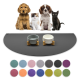 Vier Haustiere – ein Golden Retriever Welpe, ein flauschiges Kätzchen, ein brauner Hund und eine schwarze Katze – sitzen neben zwei Schalen auf einer grauen Matte mit Farbmustern darunter.
