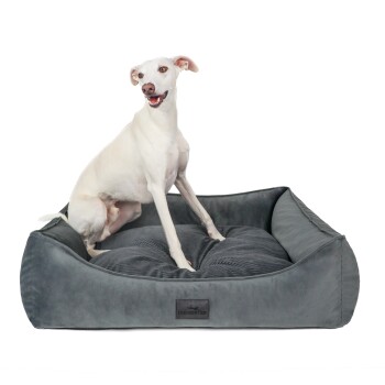 orthopädisches Hundebett mit Cord/Velour Wendekissen anthrazit L