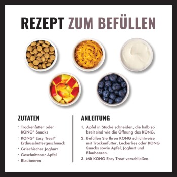 Grafik 'REZEPT ZUM BEFÜLLEN' zeigt Schalen mit Trockenfutter, Erdnussbutter, Joghurt, Apfel und Heidelbeeren — KONG-Füllrezept.