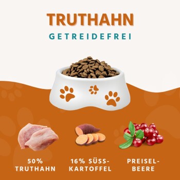 Hundefutter in einer weißen Schüssel mit Pfotenabdrücken, mit 50% Truthahn, 16% Süßkartoffeln und Preiselbeeren, gekennzeichnet mit "GETREIDEFREI."