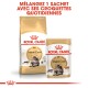 Emballage de nourriture pour chats Royal Canin Maine Coon avec un sac, une pochette, une image de chat et texte français : "Mélangez 1 sachet avec ses croquettes."