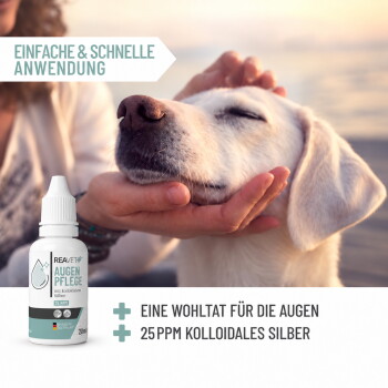 Eine Person streichelt einen weißen Hund mit geschlossenen Augen neben einer Flasche "Reavet Augenpflege" Augenpflege-Lösung für gereizte Augen.