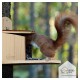 Eichhörnchen-Futterhaus mit Rindendach