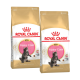 Deux sacs de nourriture pour chatons Royal Canin pour chats Maine Coon, avec un chaton joueur sur le devant et un design doré et blanc.