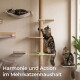 Drei getigerte Katzen auf einem Sisal-Kratzbaum und Wandliegen; grünes 180°-Symbol und Text 'Harmonie und Action im Mehrkatzenhaushalt'