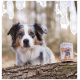 Ein blauer Merle-Australian Shepherd sitzt auf einem Baumstamm im Wald, neben einer Dose Hundefutter, die mit "DOG'S LOVE" beschriftet ist und ein Bild eines Hundes darauf hat.