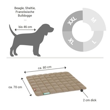 Beige gestepptes Hundebett, 80 cm x 70 cm x 2 cm, ideal für Beagles und Französische Bulldoggen.