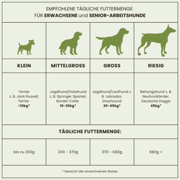 Infografik, die die empfohlenen täglichen Futtermengen für erwachsene und ältere Hunde detailliert, kategorisiert nach Größe: kleine, mittlere, große und riesige Rassen.