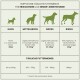 Infografik, die die empfohlenen täglichen Futtermengen für erwachsene und ältere Hunde detailliert, kategorisiert nach Größe: kleine, mittlere, große und riesige Rassen.