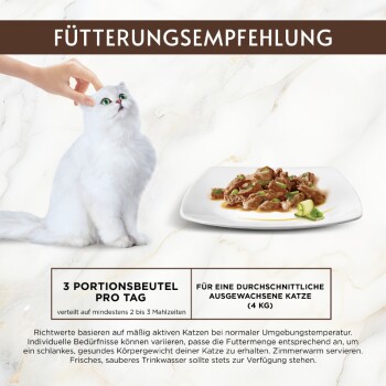 Weiße flauschige Katze wird neben einem Teller mit Nassfutter gestreichelt; sichtbarer Text: ‚FÜTTERUNGSEMPFEHLUNG‘ und ‚3 PORTIONSBEUTEL PRO TAG‘