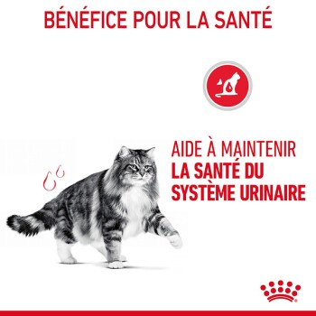 Royal Canin Urinary Care pour chat 4kg - Croquettes Chat - Croquettes &  alimentation Royal Canin Care Nutrition