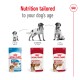 Royal Canin dog food packaging featuring Puppy, Medium Adult, and Medium Ageing products, with "Nutrition tailored to your dog's age."