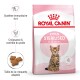 Emballage de nourriture sèche Royal Canin Kitten Sterilised pour les chatons âgés de 6 à 12 mois, avec un chaton Bengal et les principaux avantages énumérés.