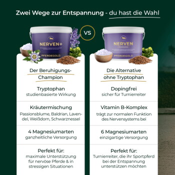 Zwei violette PFERDEGOLD-Dosen mit den Bezeichnungen NERVEN+ und NERVEN, Vergleich auf Deutsch: Tryptophan (links) vs. dopingfrei (rechts).