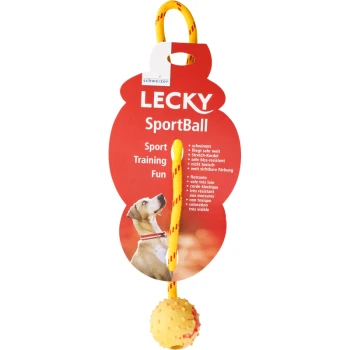 Sportball schwimmfähig S Bunte Verpackung für den "LECKY SportBall", die einen gelben Ball an einem Dehnungsband mit Merkmalen wie "schwimmend" und "ungiftig" zeigt.