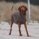 Ein brauner Hund, der einen gemütlichen, übergroßen grauen Hoodie trägt, steht an einem sandigen Strand, mit hohem Gras und einem Pfosten im Hintergrund.
