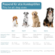 Bild von vier Hunden nach Größe: S (Beagle, Terrier), M (Dalmatiner, Boxer), L (Golden Retriever), XL (Leonberger). Enthält Halsband- und Gewichtsinfo.
