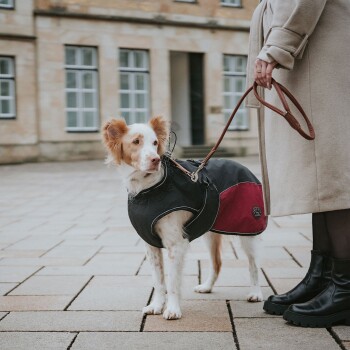 Ein Hund in einem schwarz-roten Mantel steht auf einem Steinpflaster neben einer Person in einem beigen Mantel und schwarzen Stiefeln, die eine Leine hält.