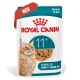 Royal Canin 11+ Senior Katzenfutterbeutel mit orangefarbenem getigertem Kater, Stückchen in Gelee, für Katzen über 11 Jahre.