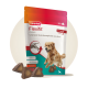 Beaphar Flexifit Chews Verpackung zeigt einen springenden Golden Retriever, der die Unterstützung der Gelenkbeweglichkeit mit Omega 3, Glucosamin und Vitamin E bewirbt.