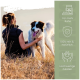 Tabelle mit täglichen Fütterungsmengen für Haustiere basierend auf dem Gewicht, mit Anweisungen für Hunde und Katzen sowie Messlöffelgrößen.