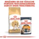 Royal Canin Siamese Katzenfutterbeutel und Intense Beauty Nassfutterbeutel, mit Text, der die tägliche Ergänzung von Trockenfutter bewirbt.