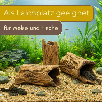 Treibholz-Aquarium-Höhlen mit Saugwelsen (Plecos) auf Kies und Pflanzen; Text: 'Als Laichplatz geeignet – für Welse und Fische'.