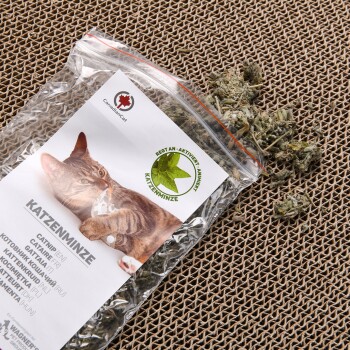 Eine durchsichtige Plastiktüte mit Katzenminze, beschriftet mit 'Katzenminze', mit einem verspielten Katzenbild, die auf einer strukturierten Oberfläche liegt.