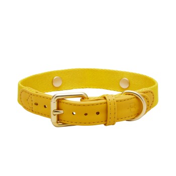Ein lebhaft gelbes Haustierhalsband mit einer goldenen Schnalle und D-Ring, das ein strukturiertes Stoffdesign und verstellbare Löcher für die Größe aufweist.