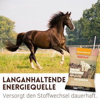 Braunes Pferd läuft auf einer grasbewachsenen Wiese neben einem Sack Supravit Pferdefutter mit der Aufschrift „Langanhaltende Energiequelle“.