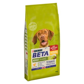 Purina Beta Adult dog food, 14kg bag, with chicken as the main ingredient, featuring a new improved recipe and prebiotic for digestive health.