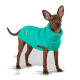 Ein brauner Hund trägt einen leuchtend türkisfarbenen gestrickten Pullover und steht vor einem hellgrauen Hintergrund.