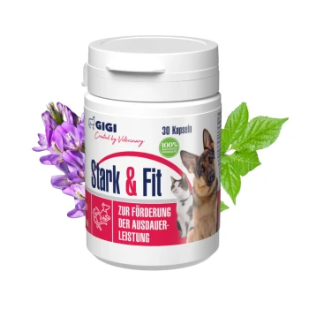 Behälter mit "Stark & Fit" Kapseln für Haustiere, mit einem Hund und einer Katze auf dem Etikett, im Hintergrund lila Blumen und grüne Blätter.