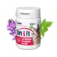 Behälter mit "Stark & Fit" Kapseln für Haustiere, mit einem Hund und einer Katze auf dem Etikett, im Hintergrund lila Blumen und grüne Blätter.
