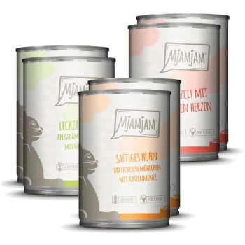 Vier Mjamjam Katzenfutterdosen mit Geschmacksrichtungen: Huhn mit Innereien, Huhn mit Karotten und Katzenminze, herzförmige Leckerlis und viel Fleisch.