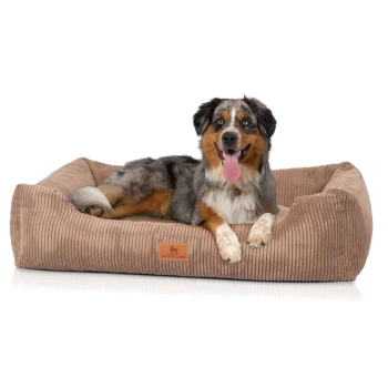 Blue Merle Australian Shepherd hechelt auf einem hellbraunen Cord-Hundebett mit den Pfoten über dem Rand, Label 'KNUFFELWUFF'.