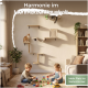 Katzen auf wandmontierten Regalen im Wohnzimmer; Text 'Harmonie im Mehrkatzenhaushalt' und 'Mehr Platz im Wohnzimmer'.