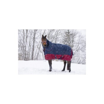 Ein braunes Pferd, das eine blaue und rote Winterdecke trägt, steht in einer verschneiten Landschaft, während Schneeflocken um es herum fallen.