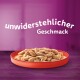 Eine rote Schüssel gefüllt mit Haustierfutterstücken steht auf einem lila Hintergrund, mit dem Text "unwiderstehlicher Geschmack" darüber.
