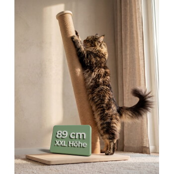 Langhaarige getigerte Katze, die sich an einem hohen Sisal-Kratzpfosten streckt; Schild: '89 cm XXL Höhe'.