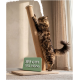 Langhaarige getigerte Katze, die sich an einem hohen Sisal-Kratzpfosten streckt; Schild: '89 cm XXL Höhe'.