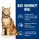 Prescription Diet Urinary Care c/d Multicare Ragout mit Huhn und Gemüse 24x82 g